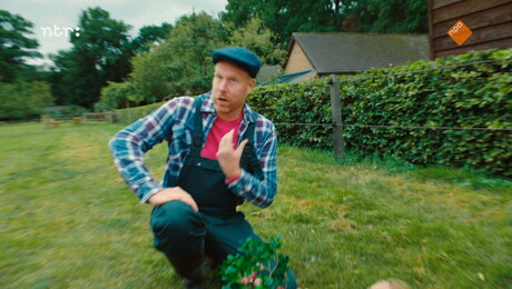 Binnenvet | Kauwgomballenboer